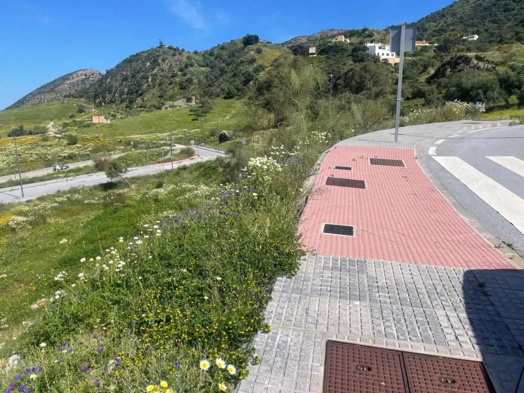 Terreno en venta en Cártama, Malaga photo 1