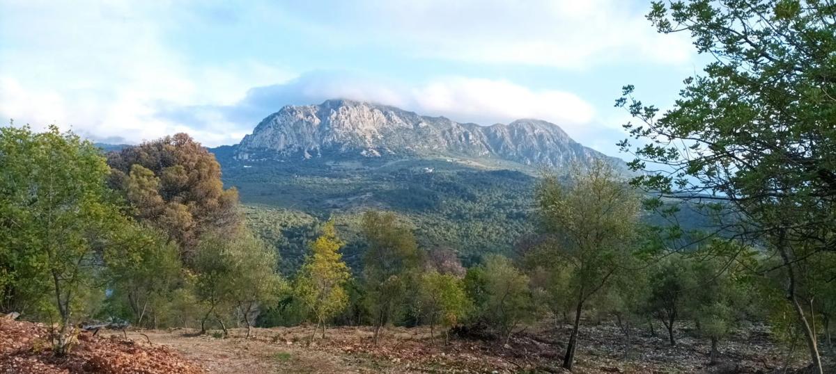 Terreno en venta en Gaucin, Malaga photo 1