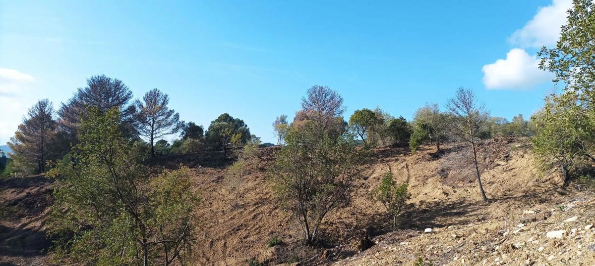 Terreno en venta en Gaucin, Malaga photo 2
