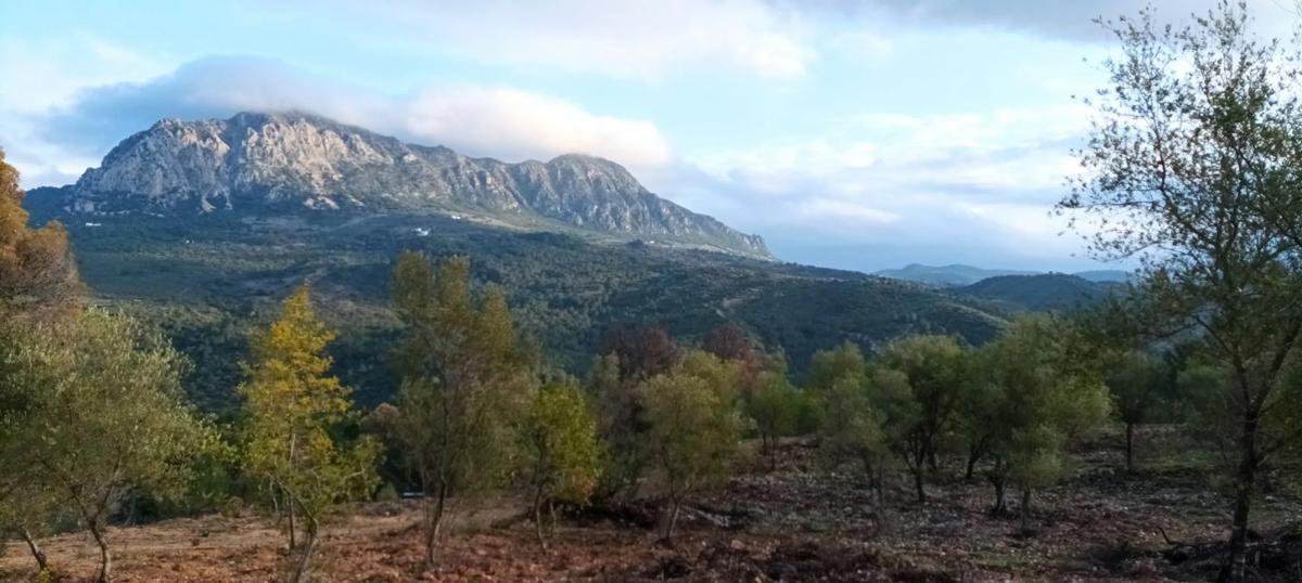 Terreno en venta en Gaucin, Malaga photo 3
