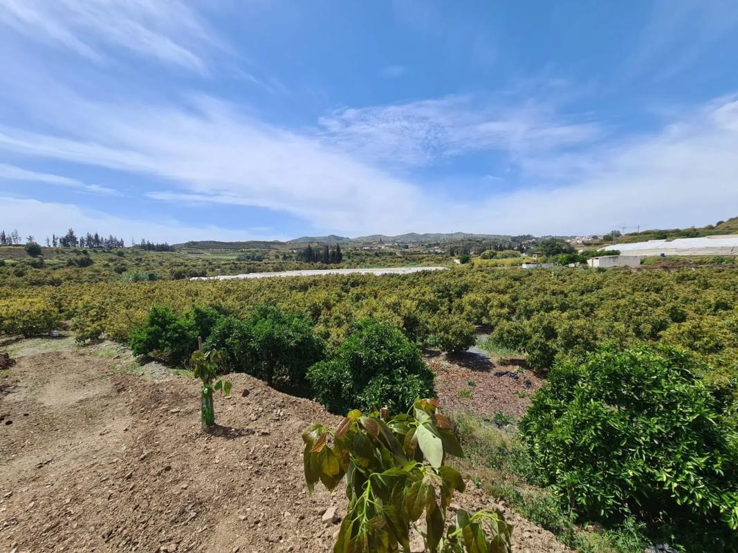 Terreno en venta en Vélez-Malaga, Malaga photo 2