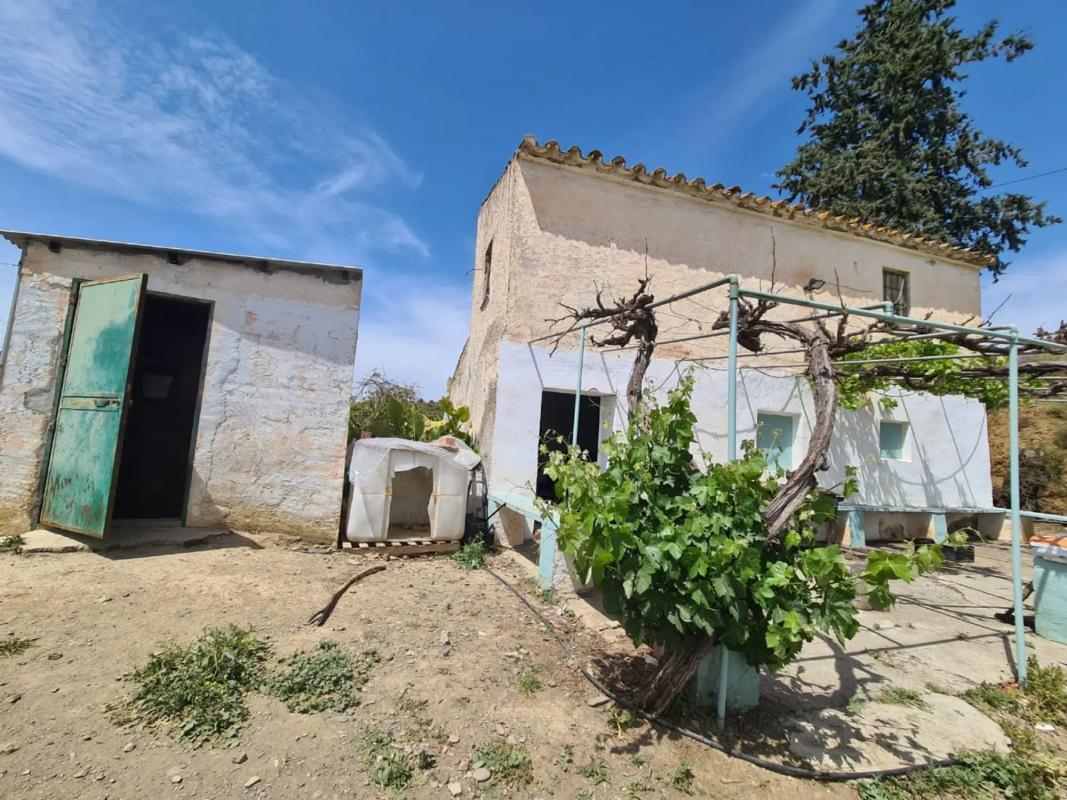 Terreno en venta en Vélez-Malaga, Malaga photo 3