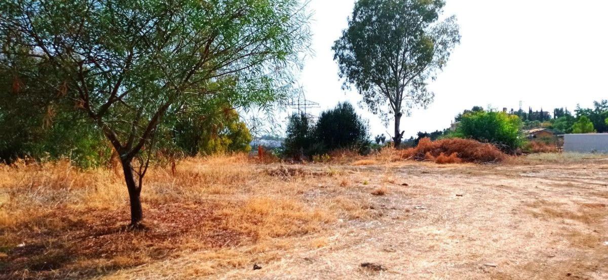 Terreno en venta en Benahavís, Malaga photo 5