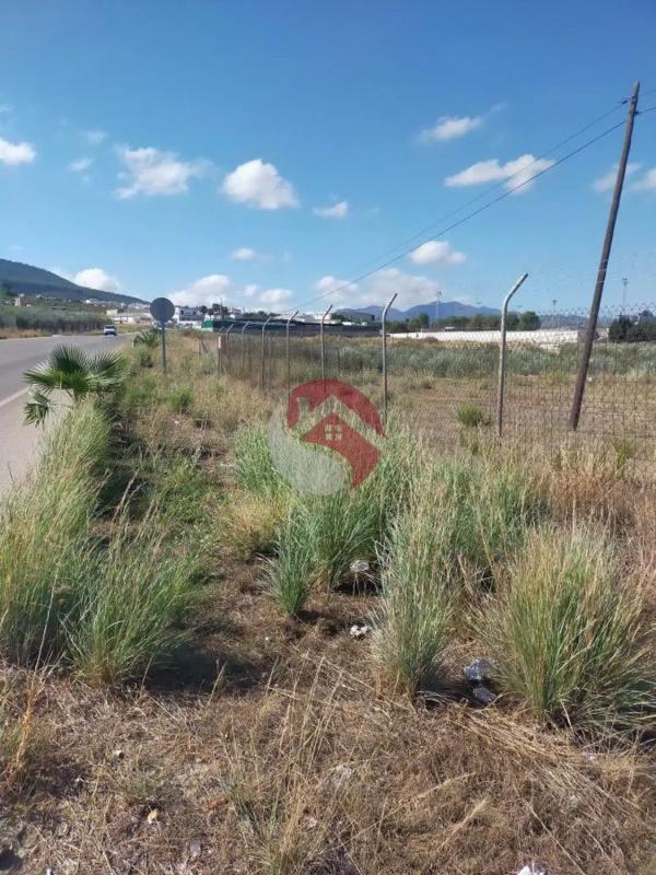 Terreno en venta en Alhaurín el Grande, Malaga photo 5