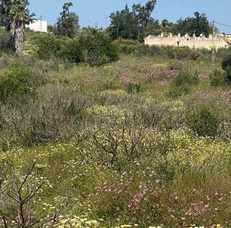 Land for sale in Slate, Malaga photo 3