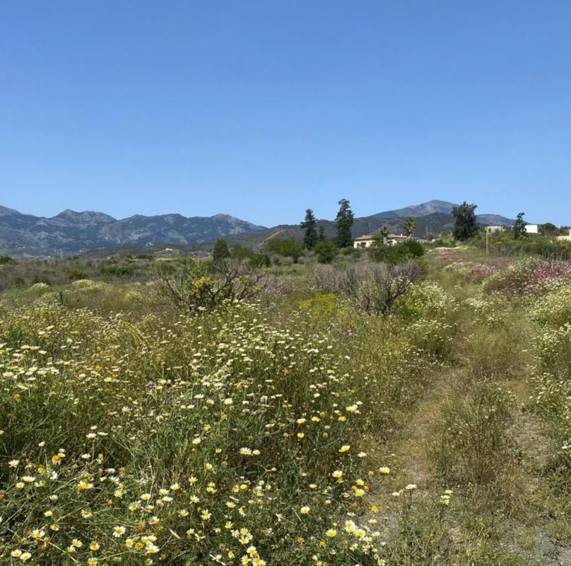 Land for sale in Slate, Malaga photo 4