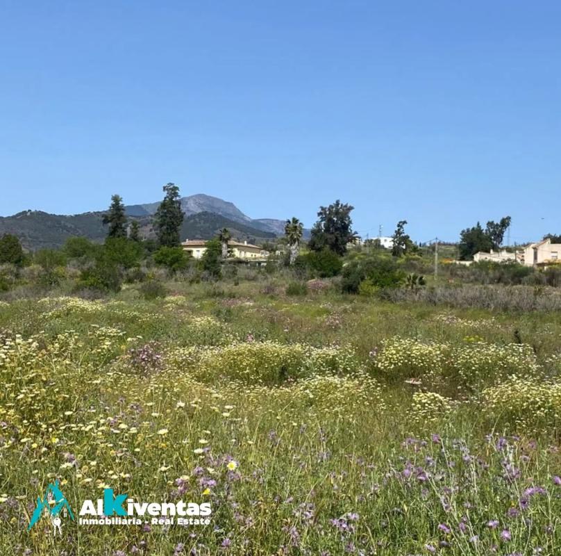 Land for sale in Slate, Malaga photo 5