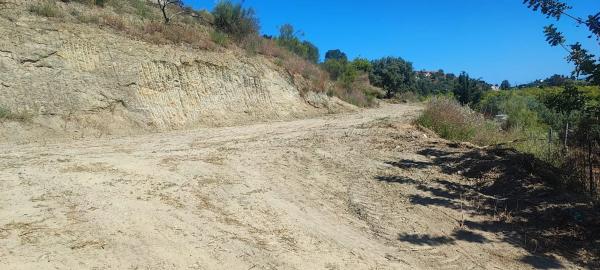 Terreno en Estación photo 3