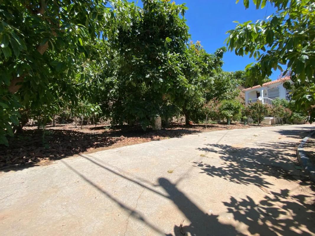 Terreno en venta en Viñuela, Malaga photo 4
