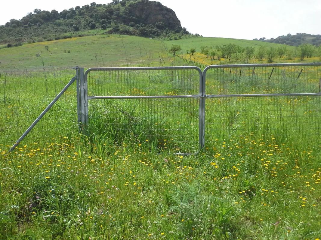 Terreno en venta en Montecorto, Malaga photo 2