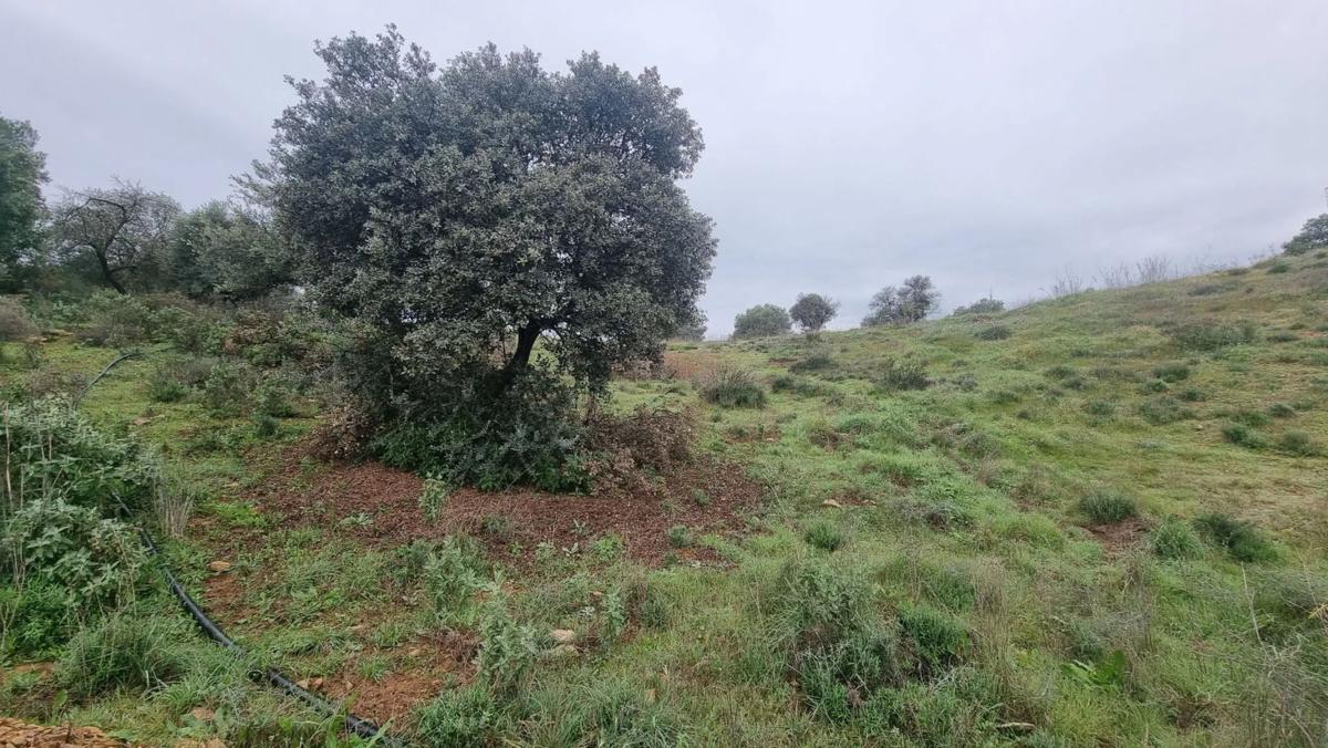 Terreno en venta en Coin, Malaga photo 3