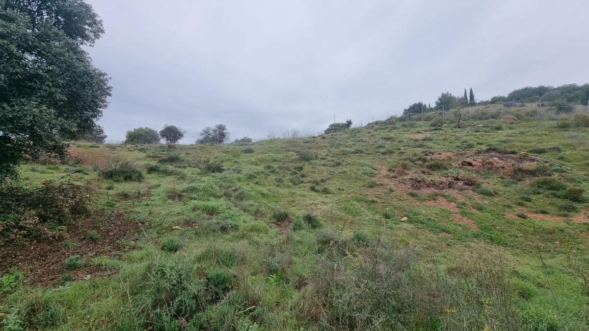 Terreno en venta en Coin, Malaga photo 4
