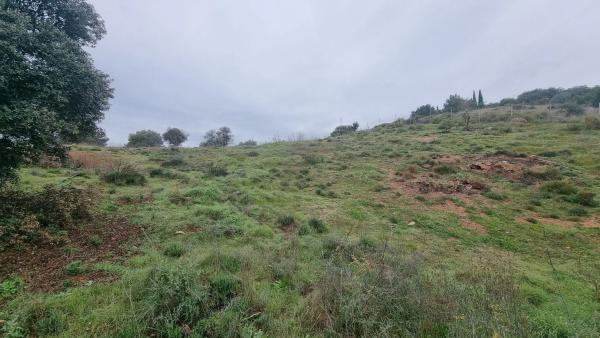 Terreno en Coin photo 4