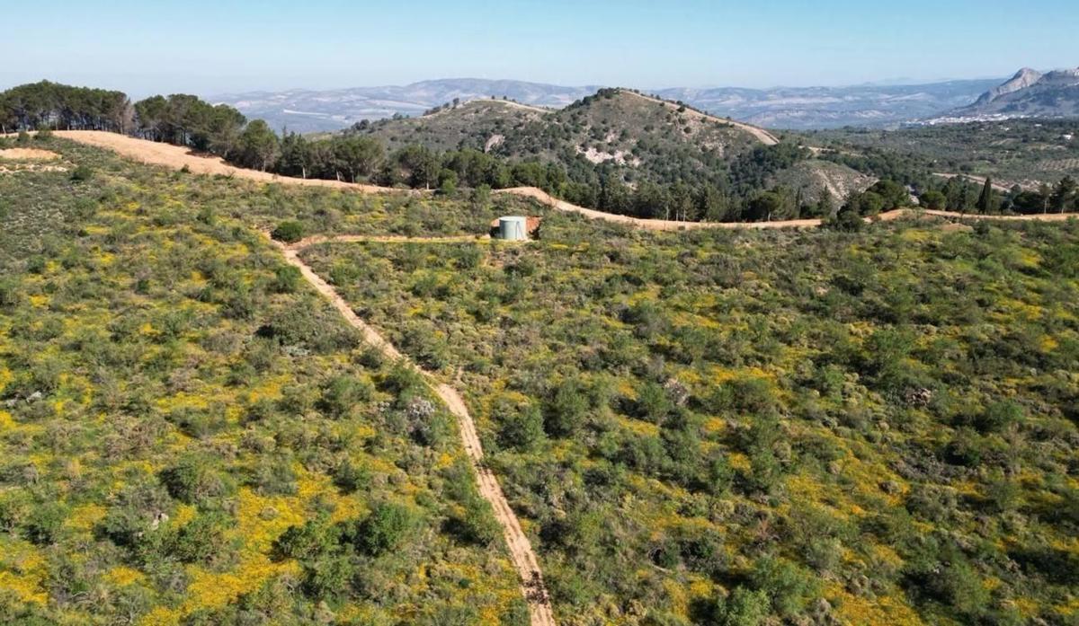 Terreno en venta en Archidona, Malaga photo 5