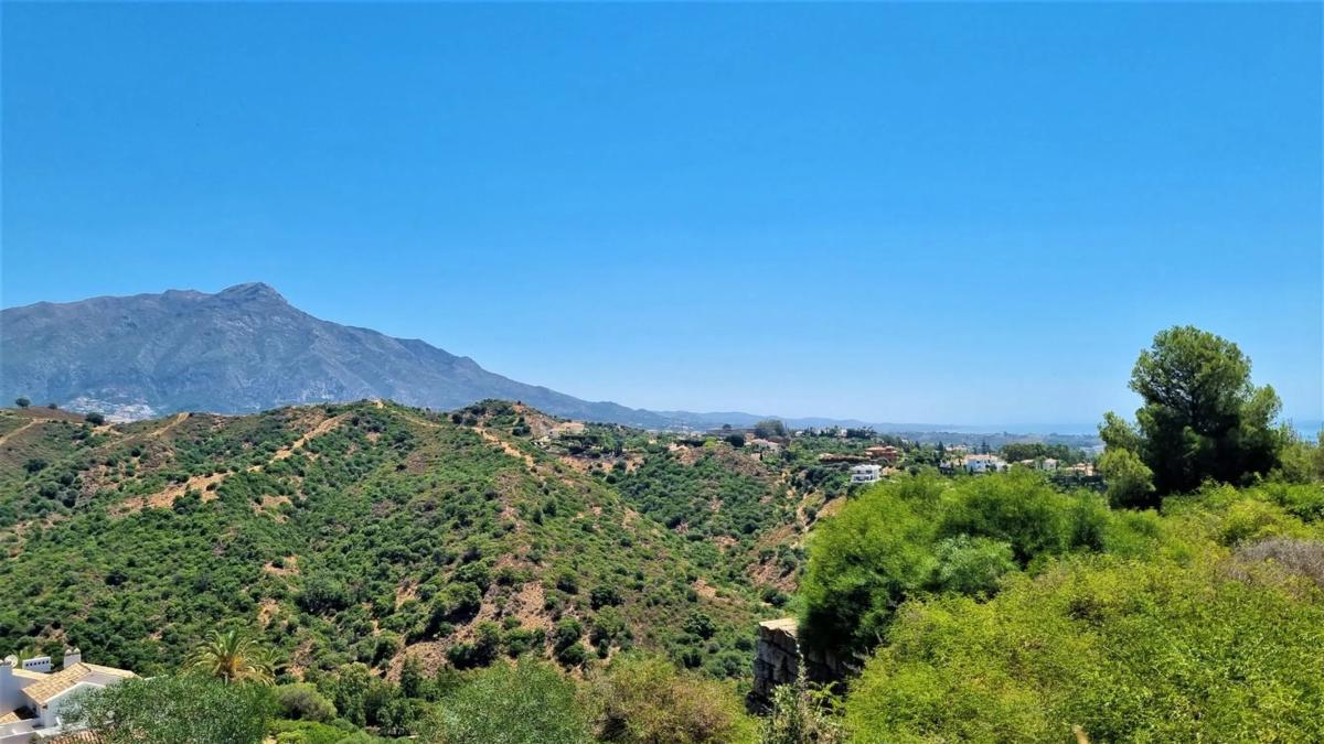 Terreno en venta en Benahavís, Malaga photo 2
