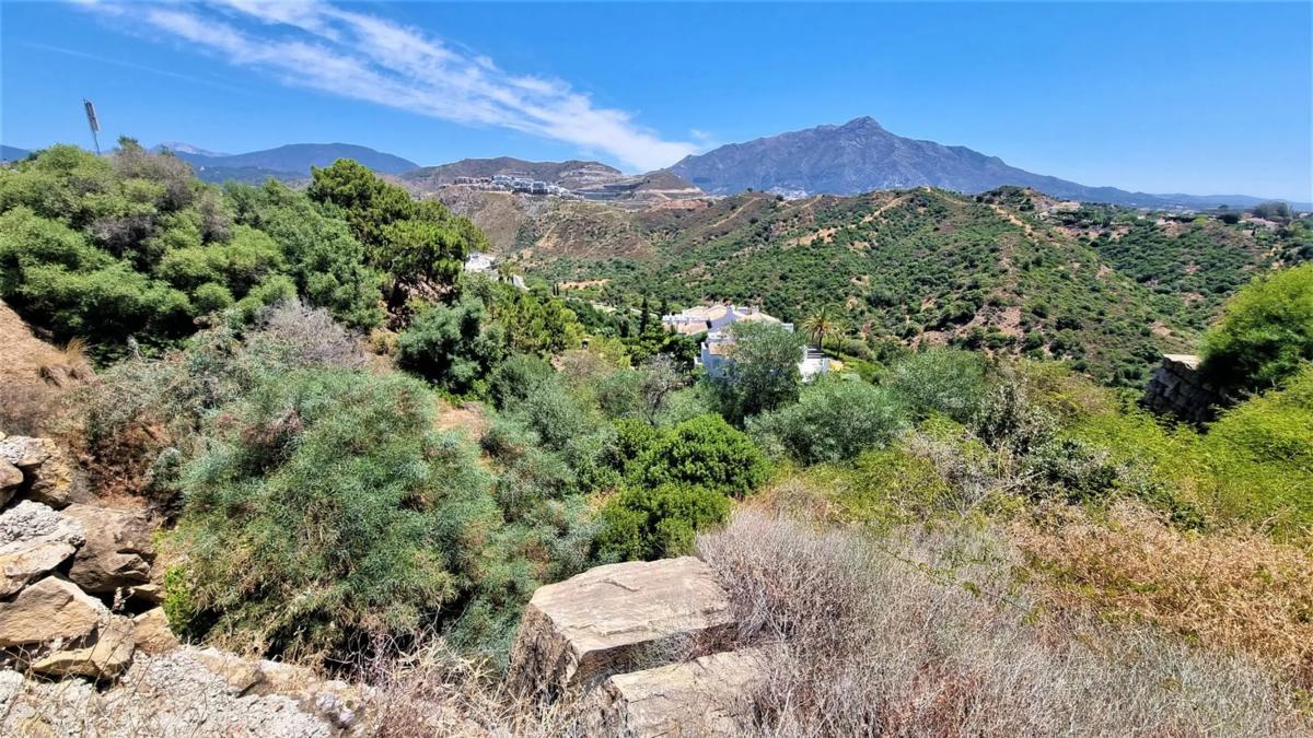Terreno en venta en Benahavís, Malaga photo 5
