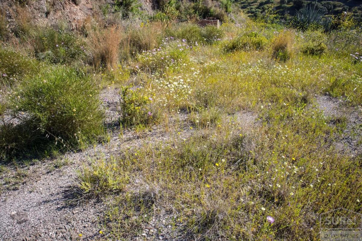 Terreno en venta en Sayalonga, Malaga photo 1