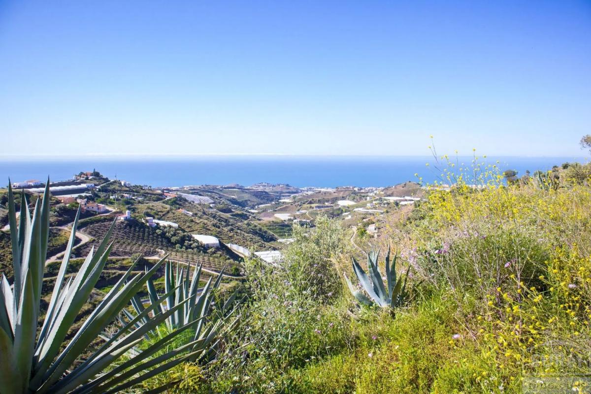 Terreno en venta en Sayalonga, Malaga photo 3