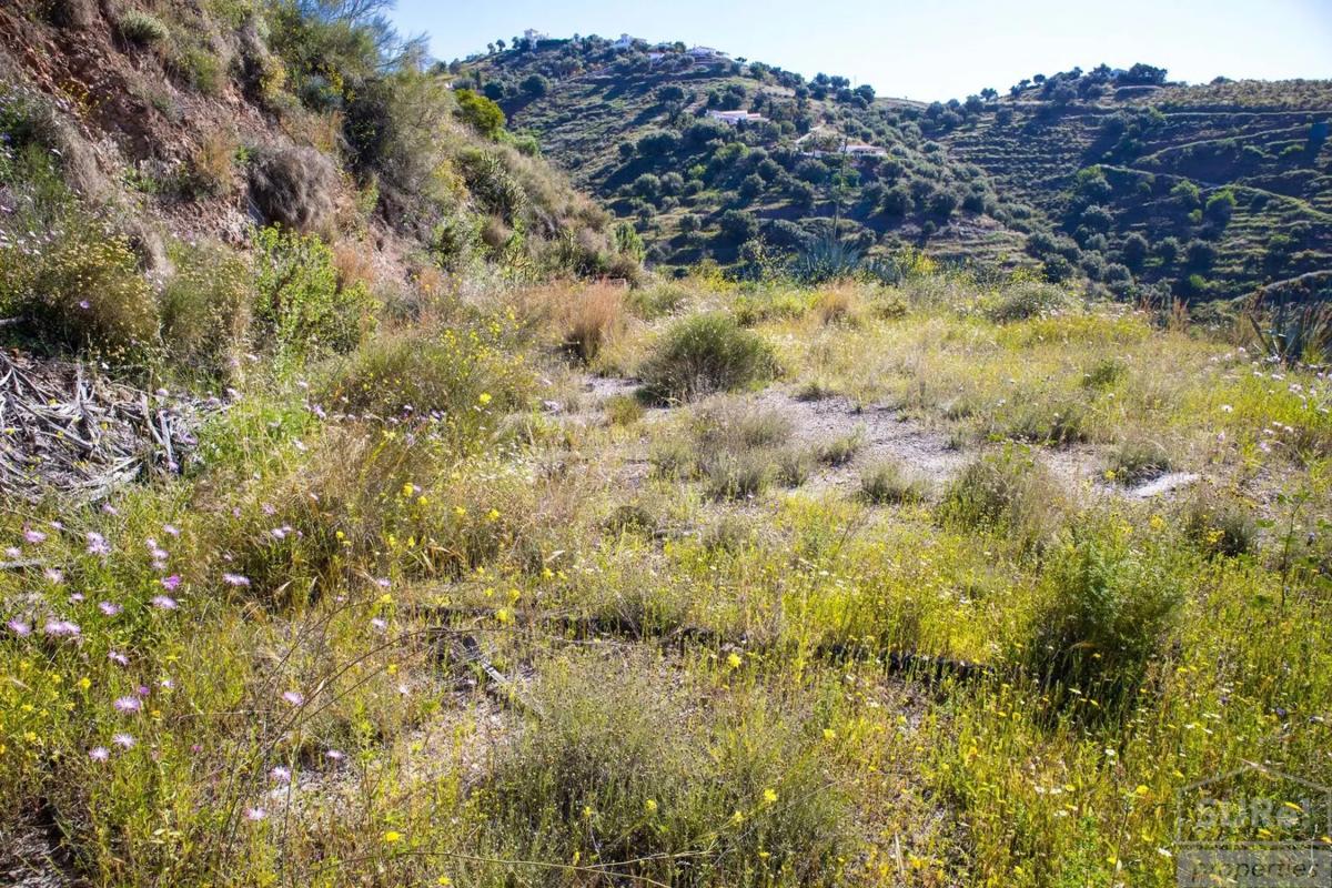 Terreno en venta en Sayalonga, Malaga photo 5