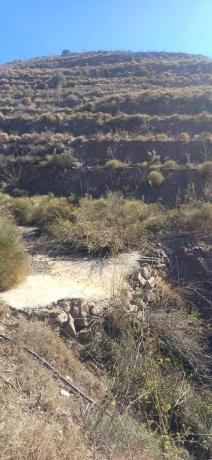 Terreno en diseminado pago manzano bajo, km 253 photo 1