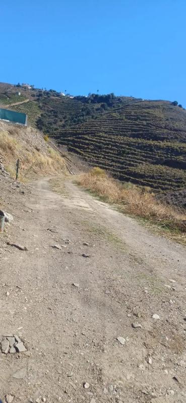 Land for sale in Torrox, Malaga photo 2