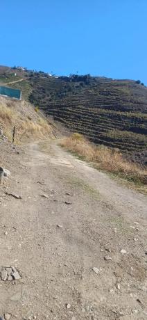 Terreno en diseminado pago manzano bajo, km 253 thumbnail 1