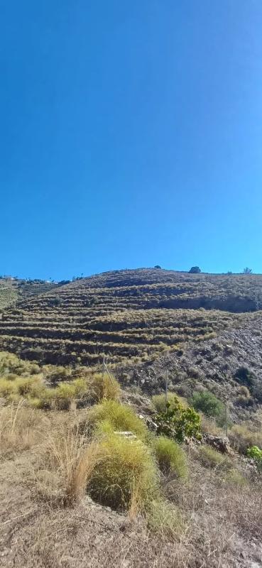 Land for sale in Torrox, Malaga photo 3