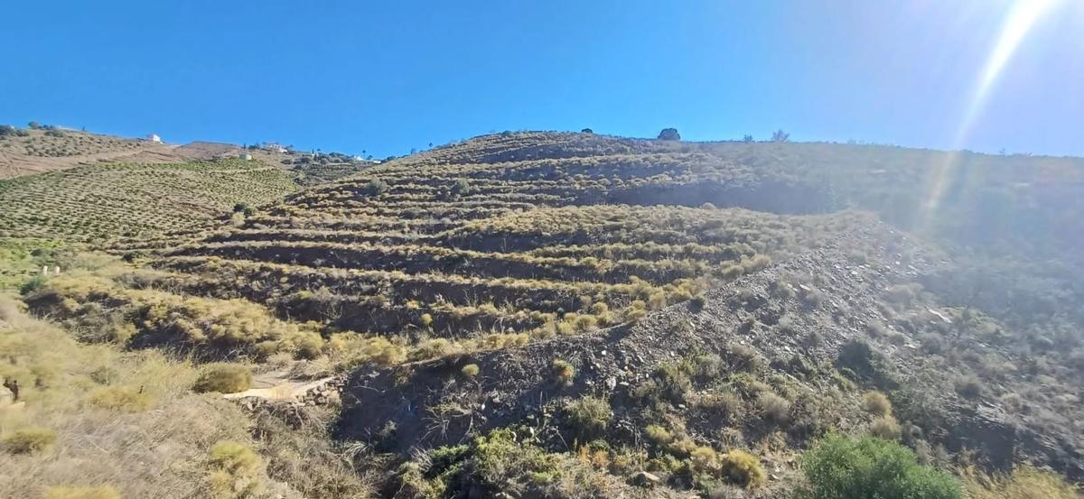Land for sale in Torrox, Malaga photo 5