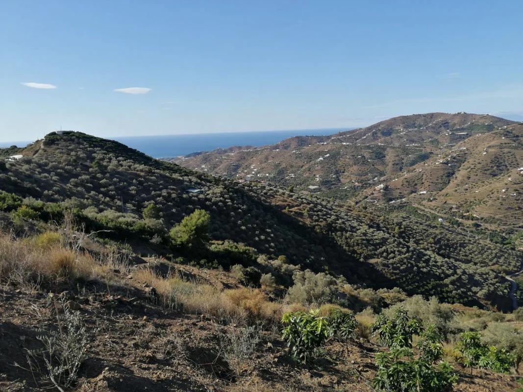 Terreno en venta en Torrox, Malaga photo 1