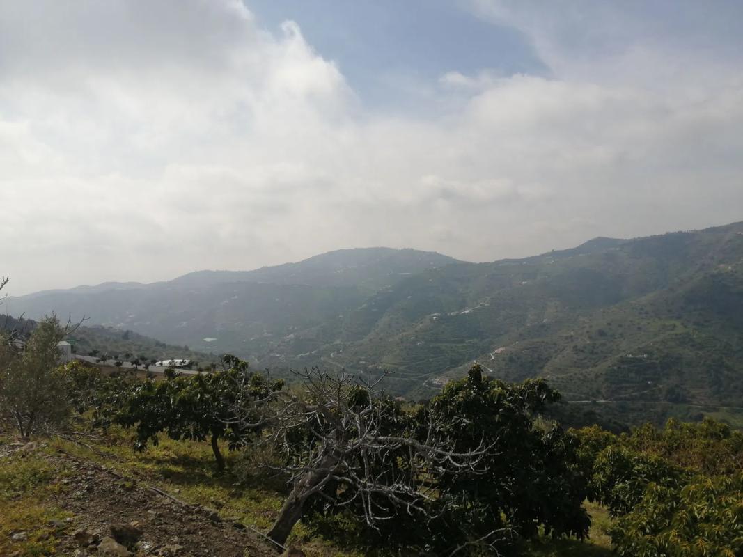 Terreno en venta en Torrox, Malaga photo 5
