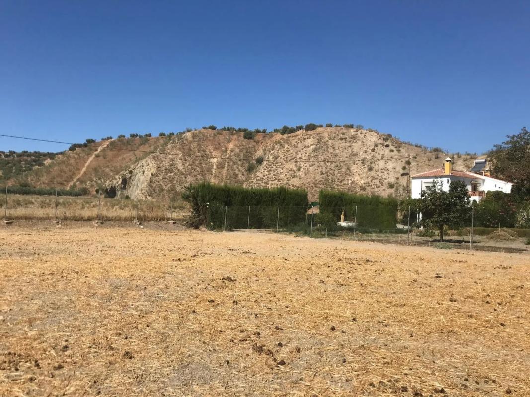 Land for sale in Cuevas Bajas, Malaga photo 1