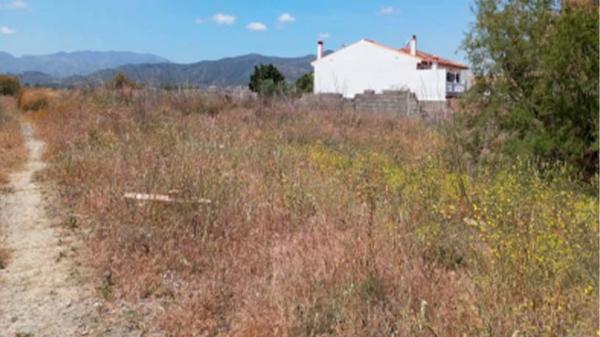 Terreno en calle Jardinera photo 2