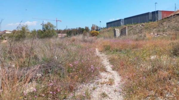 Terreno en calle Jardinera photo 3