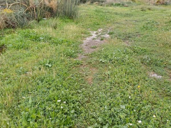 Terreno en Norte - Barrio del Pilar - El Reñidero thumbnail 1