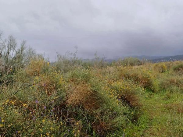 Terreno en Norte - Barrio del Pilar - El Reñidero photo 4