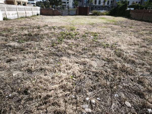 Terreno en calle Niza, 38 photo 4