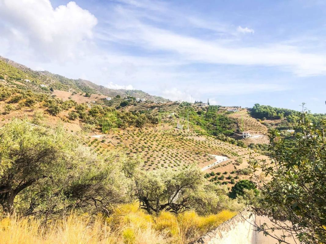 Działka na sprzedaż w Frigiliana, Malaga photo 2