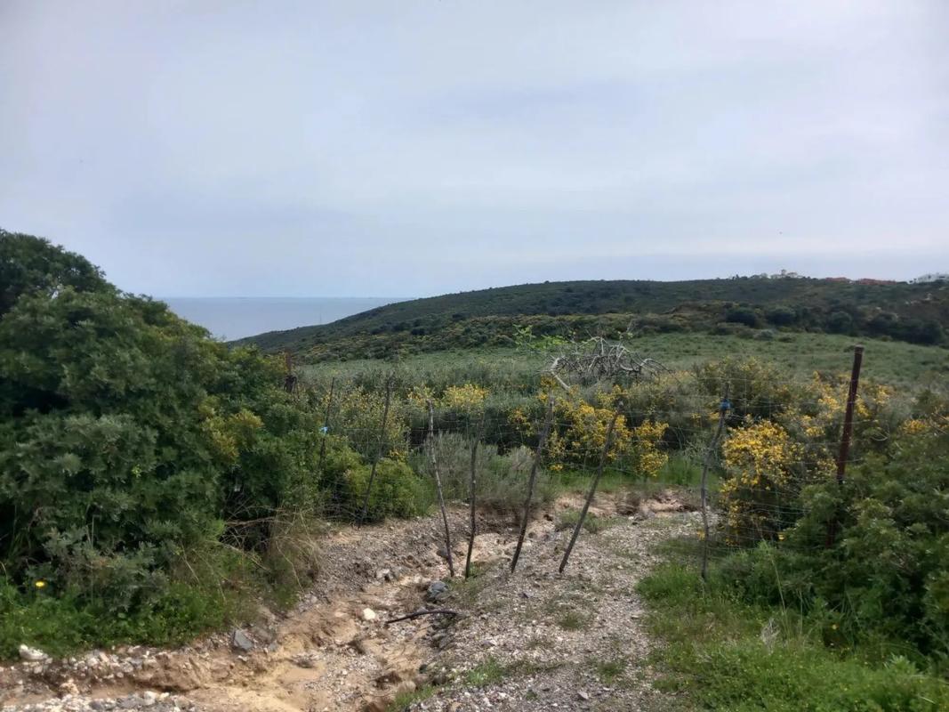 Terreno en venta en Manilva, Malaga photo 2