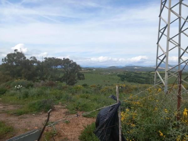 Terreno en calle Martagina s/n photo 3