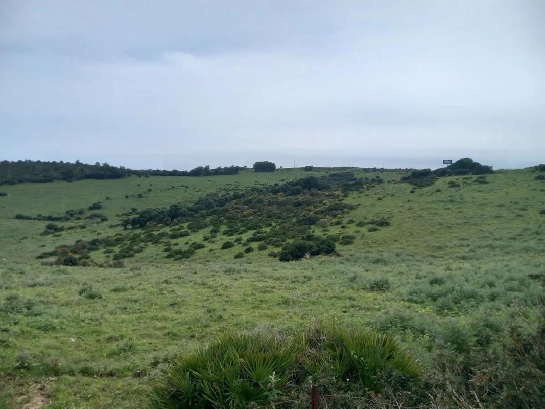 Terreno en venta en Manilva, Malaga photo 4