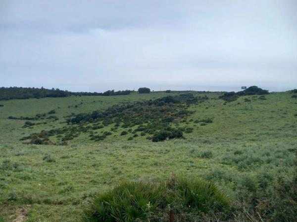 Terreno en calle Martagina s/n photo 4