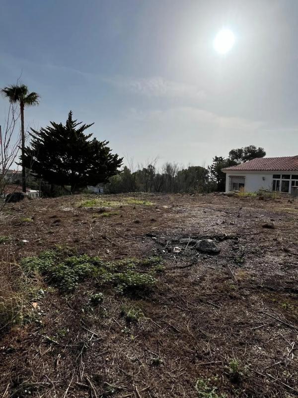 Land for sale in Benajarafe, Malaga photo 3