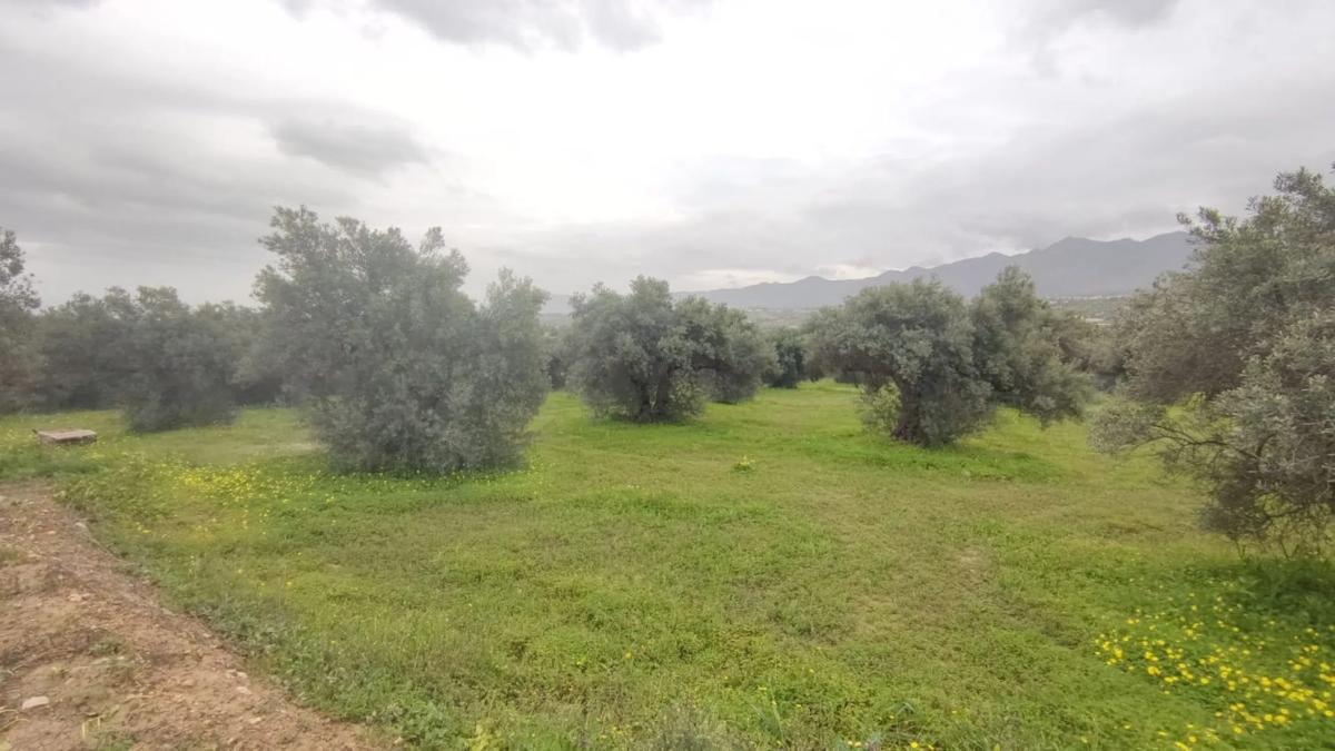 Działka na sprzedaż w Alhaurín el Grande, Malaga photo 1
