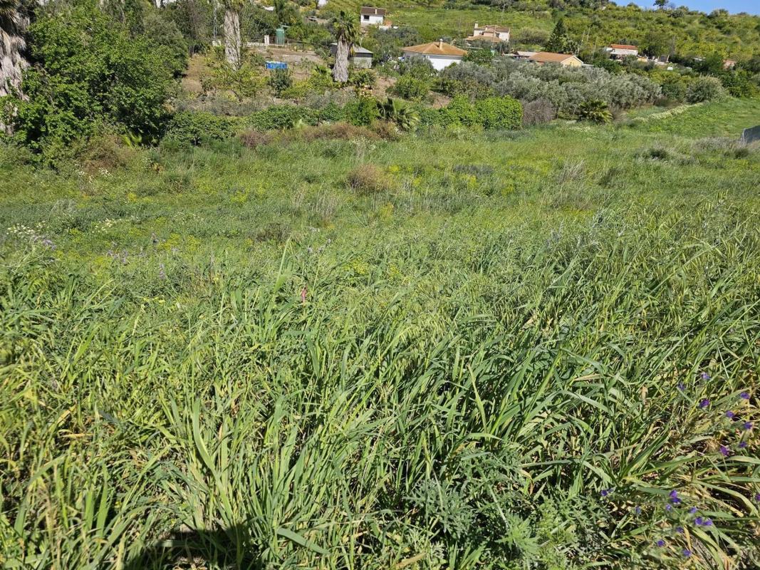 Terreno en venta en Cártama, Malaga photo 5