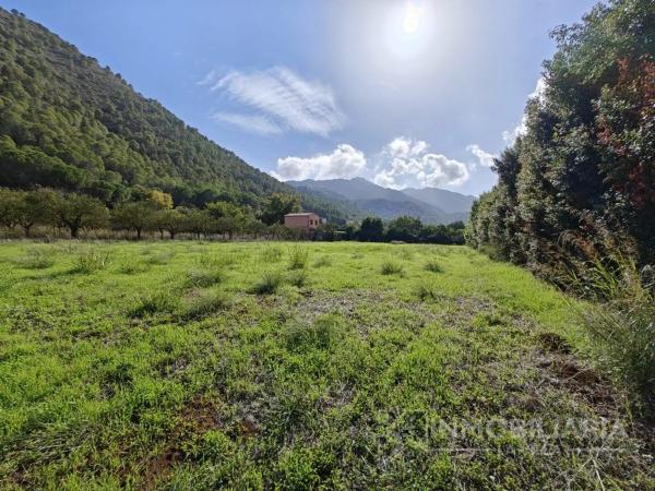Terreno en Coin photo 3