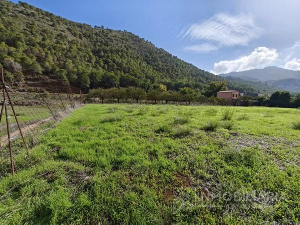 Terreno en Coin photo 4