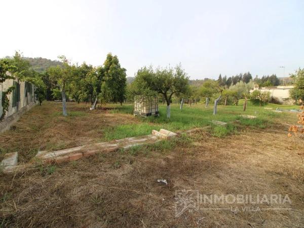 Terreno en Coin photo 3