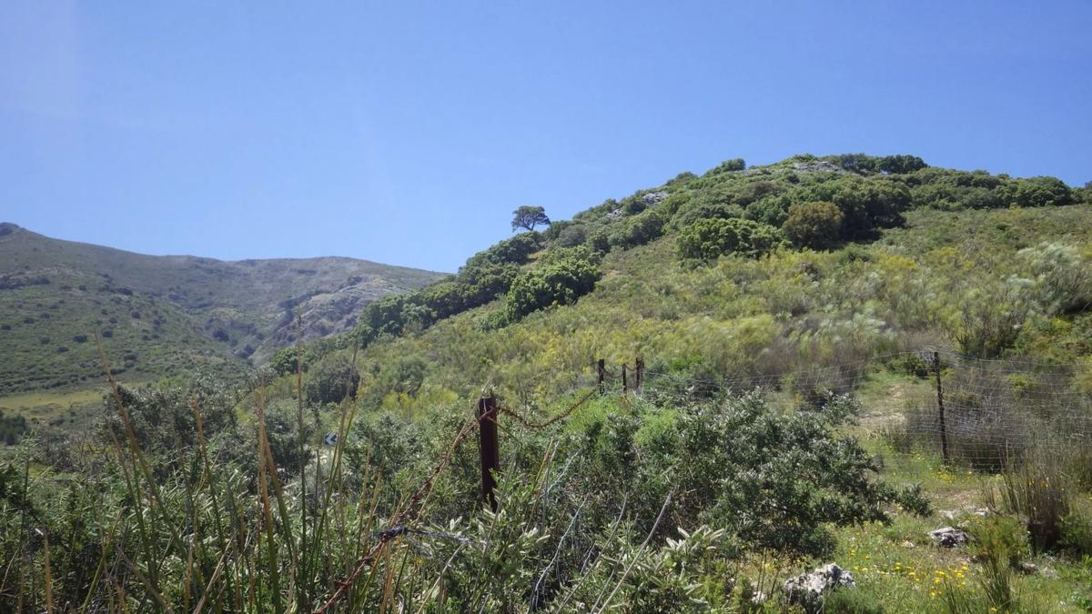 Działka na sprzedaż w Ronda, Malaga photo 2