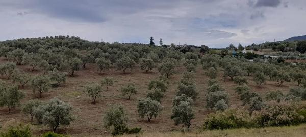 Terreno en camino Jacon, 1 photo 3