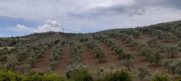 Terreno en camino Jacon, 1 photo 4